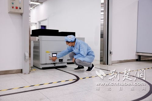 武漢電信與烽火通信攜手打造雙5G智慧工廠 開啟互聯網技術與設備銷售新篇章